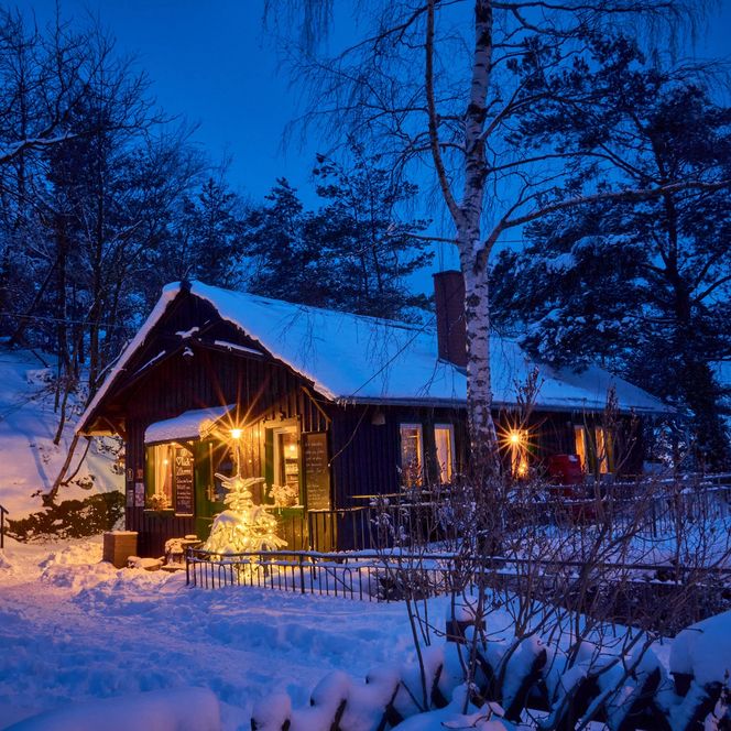 Gemütliches Holzhaus im Schnee, beleuchtet von warmem Licht, umgeben von schneebedeckten Bäumen.