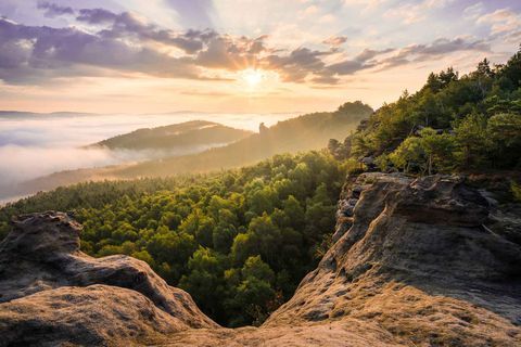 Sächsische Schweiz Tafelberg Gohrisch Sommer Sonnenaufgang Blick zum Papststein