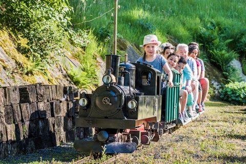 Kinder und Erwachsene fahren auf einer kleinen Dampflok durch eine grüne Landschaft.
