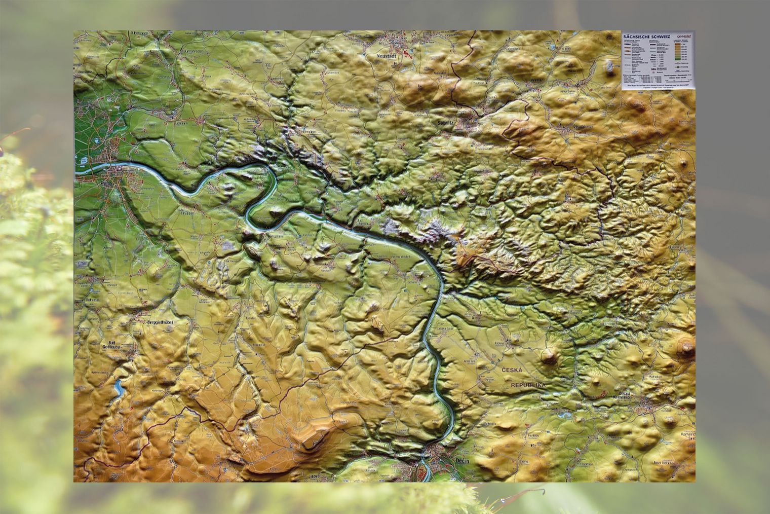 3D Reliefkarte Sächsische Schweiz gross Topografische 3D Reliefkarte mit Flüssen und Hügeln in verschiedenen Grüntönen und Erdfarben.