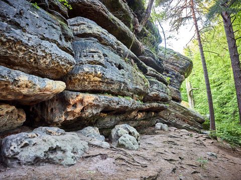 Felsformationen im Wald, rechts grüne Bäume die vom Sonnenlicht angestrahlt werden