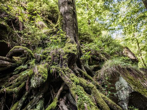 Nationalpark Sächsische Schweiz Malerweg Etappe 2