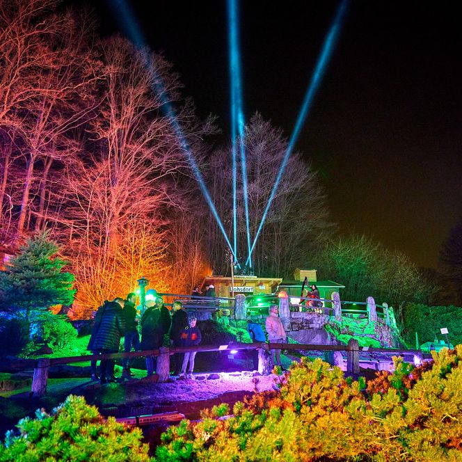 Bunte Lichtstrahlen leuchten über einen parkähnlichen Bereich mit beleuchteten Bäumen und Sträuchern.