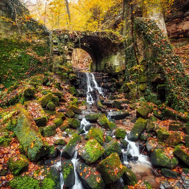 Bach fließt unter einer Steinbrücke, umgeben von buntem Herbstlaub.