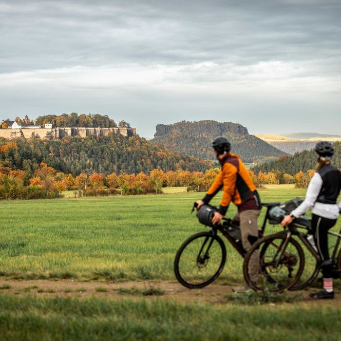 Zwei Radfahrer stehen auf einem Feld und schauen auf eine herbstliche Landschaft mit Festung Königstein und Lilienstein im Hintergrund.