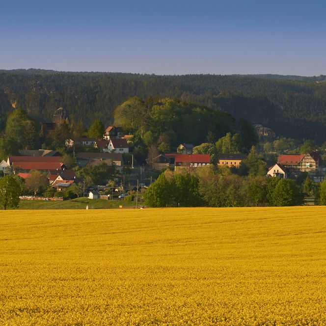 Landschaft mit goldenem Feld im Vordergrund und einem Dorf mit roten Dächern im Hintergrund.