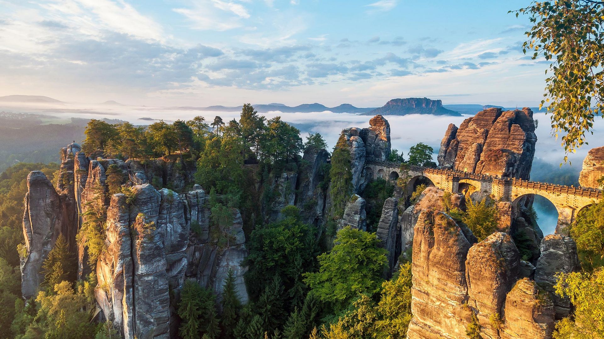Felsformationen der Bastei, Wald im Hintergrund bei Sonnenaufgang.