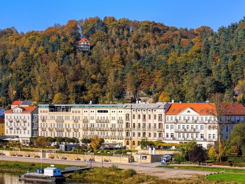 Bad Schandau an der Elbe mit Uferpromenade, grünen Bäumen und bewaldeten Hügeln im Hintergrund.
