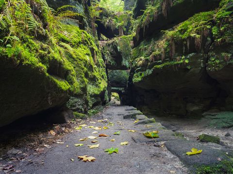 Wandern im Uttewalder Grund (Deutschland, Sächsische Schweiz)