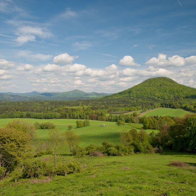 Grüne Hügel unter einem blauen Himmel mit weißen Wolken.