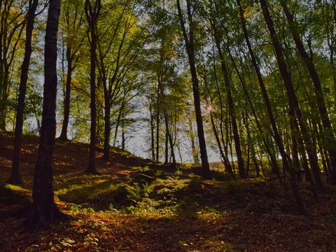 Wanderung auf Etappe 8 des Malerwegs