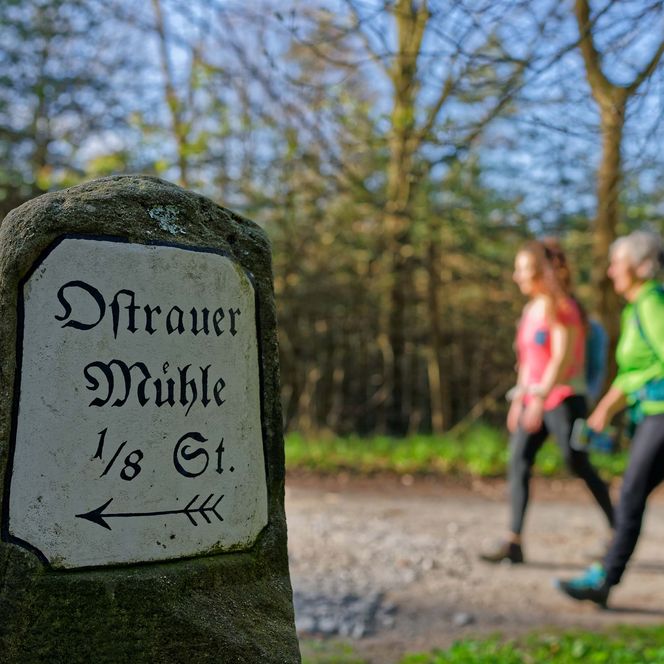 Alter Wegweiser aus Stein und zwei Personen, die auf einem Waldweg gehen.