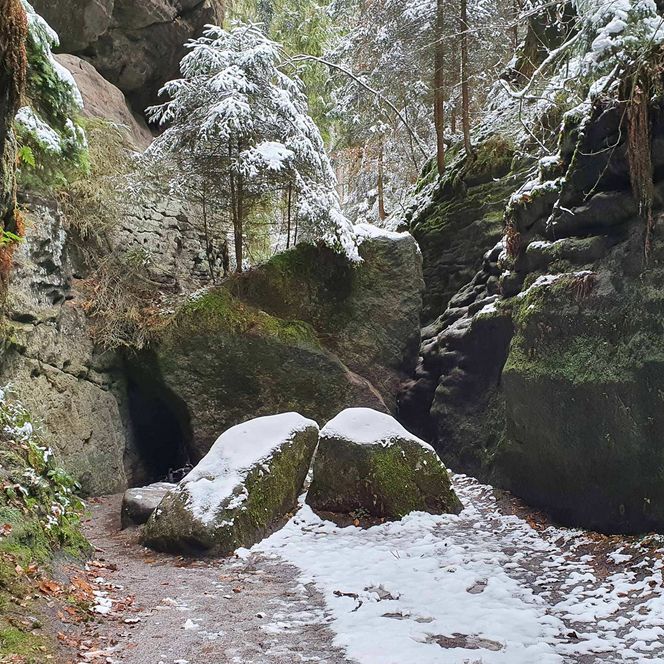 Schneebedeckte Felsen und Bäume in einer engen Schlucht.