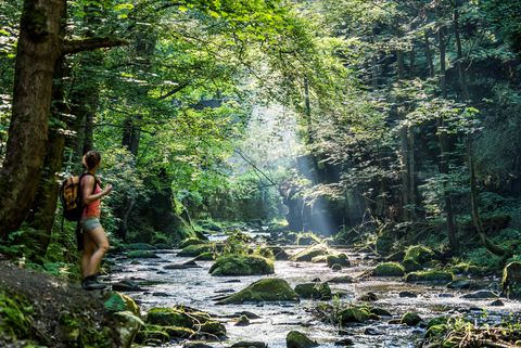 Wanderer steht am Ufer eines klaren Baches, umgeben von dichtem, grünem Wald und Sonnenstrahlen.
