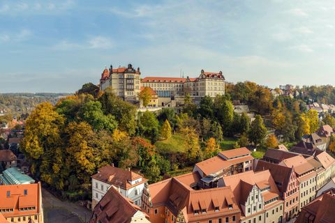 Luftbild auf das Schloss Sonnenstein auf einem Hügel, umgeben von Bäumen und dem Stadtbild Pirnas mit roten Dächern.