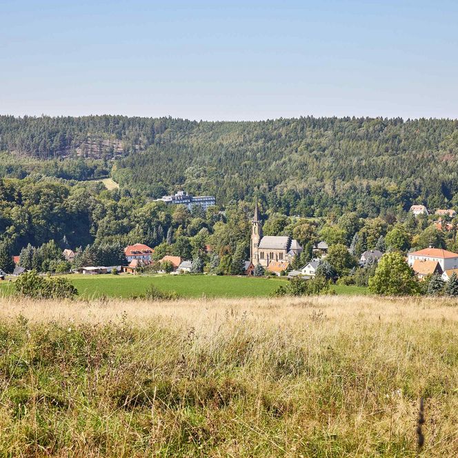 Landschaft mit Feldern, Bäumen und einem kleinen Dorf im Hintergrund unter blauem Himmel.