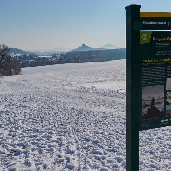 Schneebedeckte Landschaft mit Bäumen und einem Hügel im Hintergrund, sanftes Licht am Morgen.