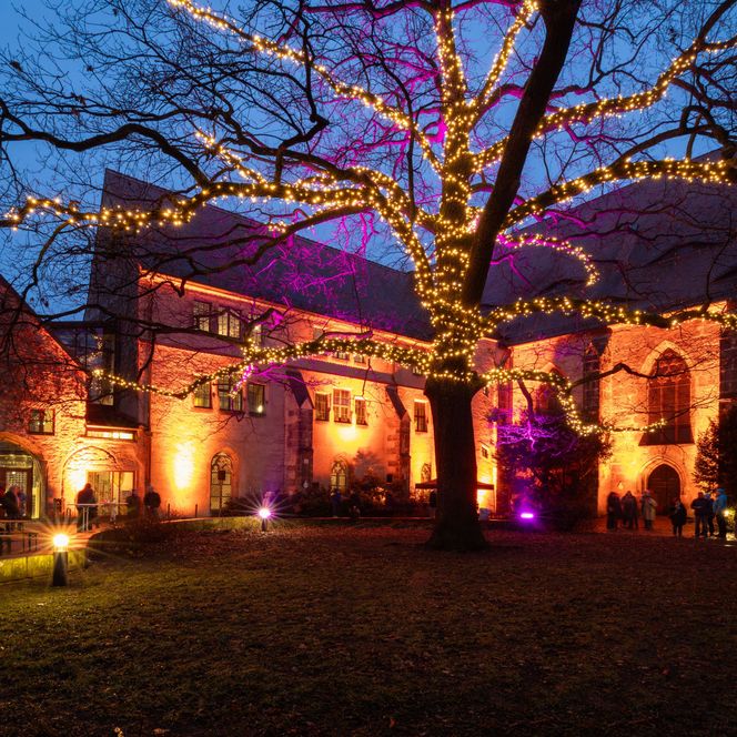 Beleuchteter Innenhof mit einem großen Baum und festlicher Beleuchtung bei Dämmerung.