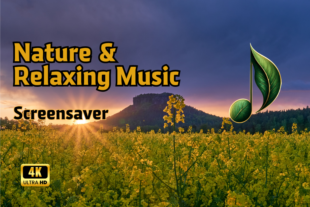 Naturaufnahme mit gelben Blumenfeld, Sonnenstrahlen im Hintergrund und Notensymbol. Text: "Nature & Relaxing Music Sc...